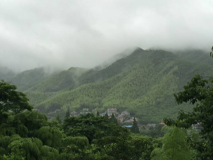 1521165966699822.jpg 照片1.jpg